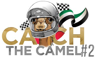Catch the Camel #3