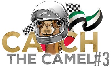Catch the Camel #3